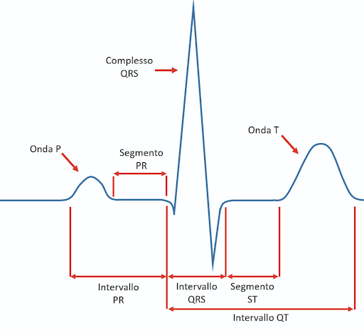onde ecg a cosa corrispondono