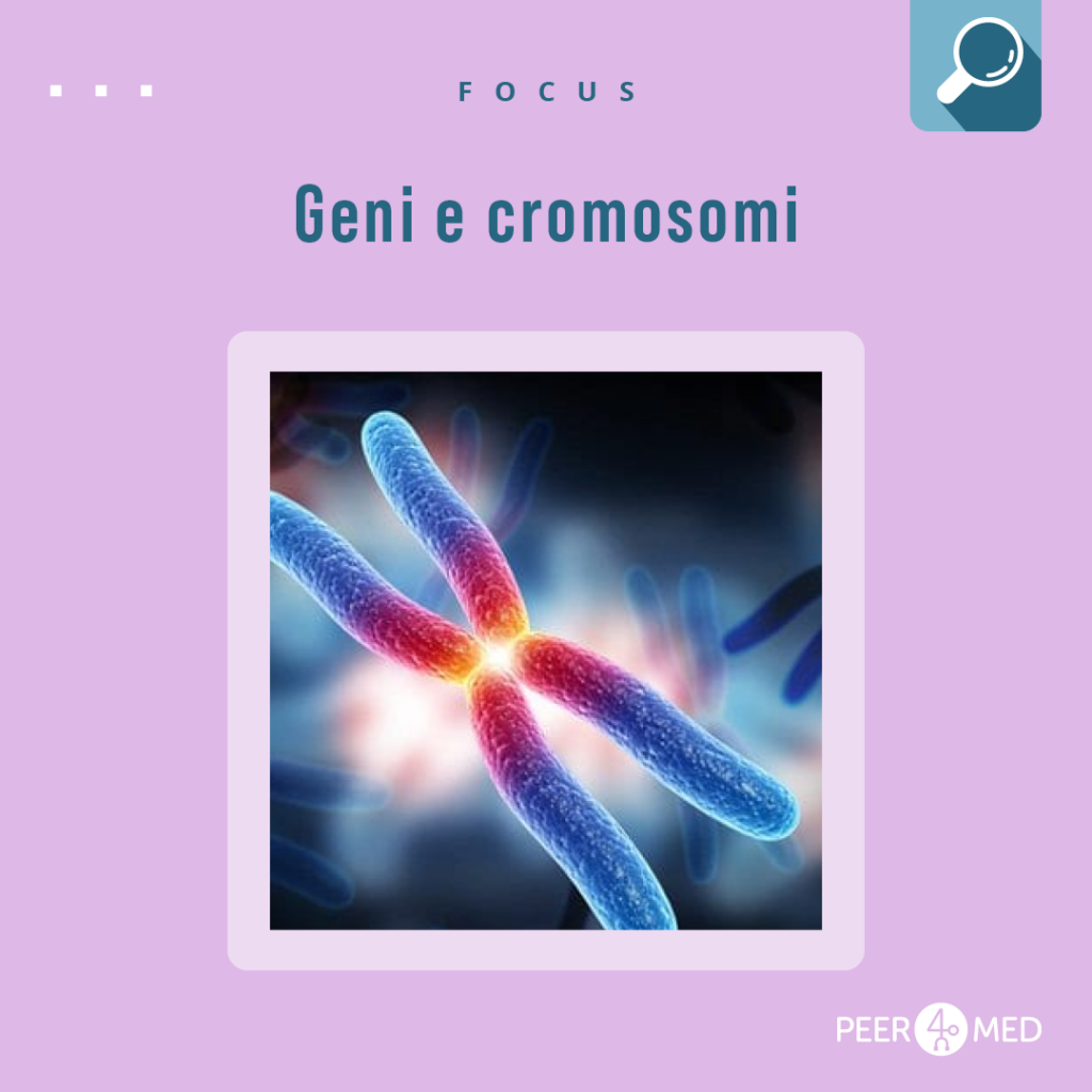 illustrazione di una coppia di cromosomi