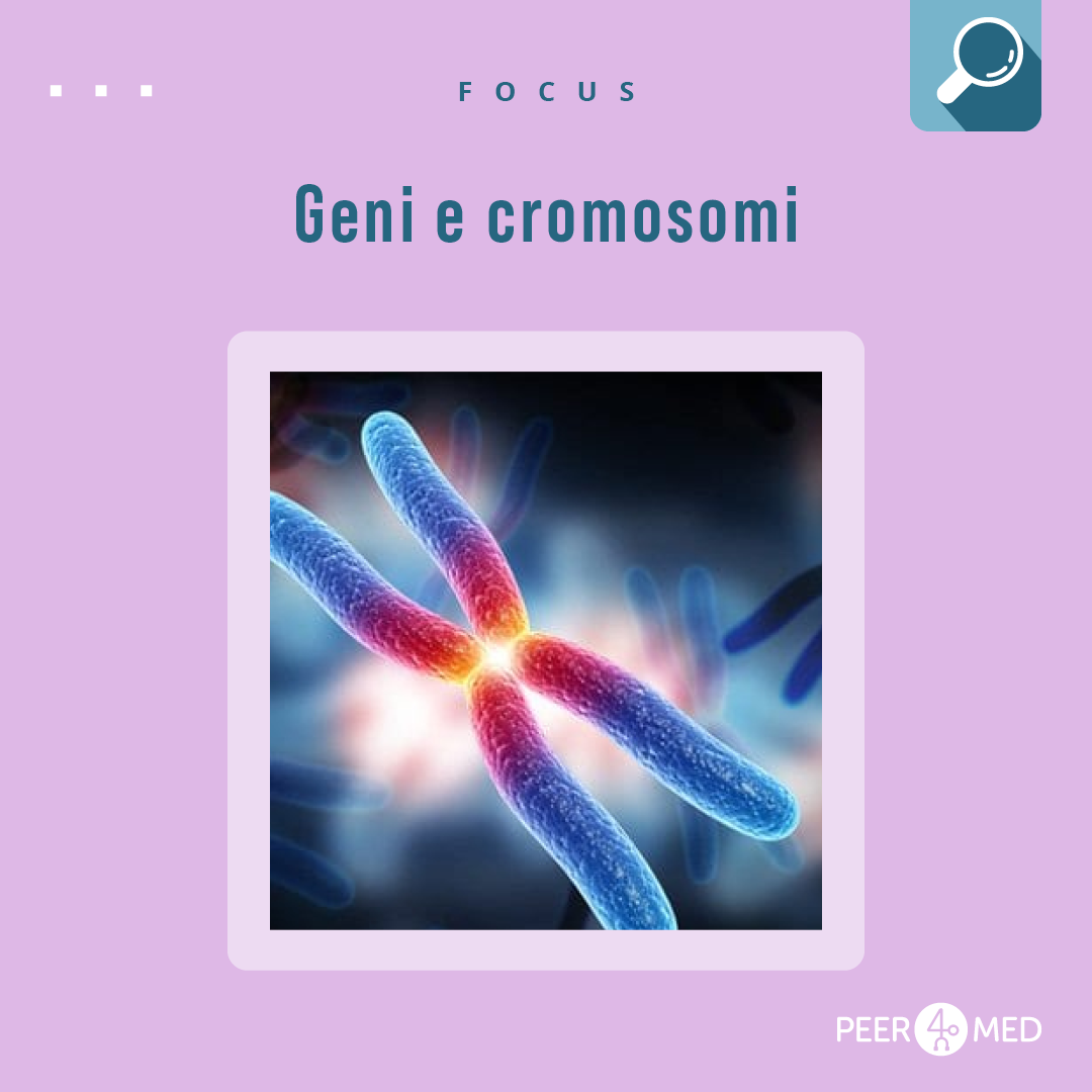 illustrazione di una coppia di cromosomi