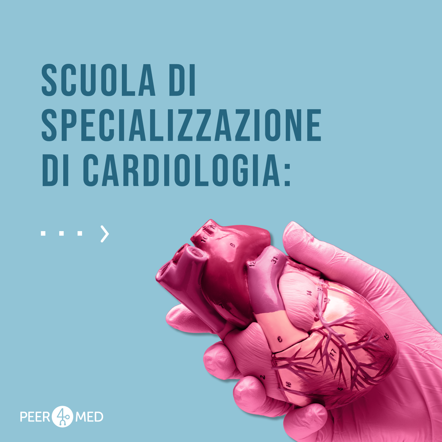 scuola di specializzazione cardiologia